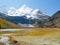 View of snow covered mountain peaks and bharals or blue sheep glazing