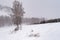 View of snow fall at the field of Irkutsk