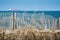 A view of a snow fence lined path to the beach with sand in foreground and soft focus cargo ship on ocean in background