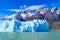 View of snow mountain and Gray Glacier