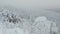 View of snowy forest covered with snow. Frozen ones cover slope of rocky hill.