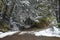 A view of snowy forest on the road from Villa Traful, Neuquen, to San Carlos de Bariloche, Rio Negro. Patagonia region of