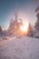 View of the snowy landscape of Finnish tundra during sunrise in Rovaniemi area of Lapland region above the Arctic Circle. Frosty