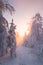 View of the snowy landscape of Finnish tundra during sunrise in Rovaniemi area of Lapland region above the Arctic Circle. Frosty