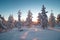 View of the snowy landscape of Finnish tundra during sunrise in Rovaniemi area of Lapland region above the Arctic Circle. Frosty