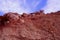 A view of soil, rocks and roots under beauti