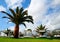 View of some beds sunloungers and palm trees on a green grass in a beach club of Tenerife,Canary Islands,Spain.