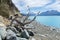 View of a sowy mountain through branches of a dead tree