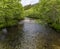 A view of the spawning area on the main salmon stream in Ketchikan, Alaska