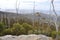 View from Sphinx Rock on Mt Wellington, Hobart.