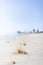 View of spinifex grasses washed up on white sands beach on a clear summer day