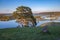 View of the spring flood of the Sorot river from Savkina Hill. Pskov region. Russia