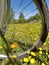 View of the spring meadow through the bike wheel