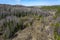 View of the spring taiga in the mountains of the Salair ridge