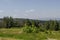 View of springtime glade, forest and residential district of bulgarian village, Vitosha mountain