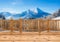 View from spruce wood terrace, porch or balcony on snowy mountains.