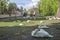 View of the square with swans near the Begijnhof in Bruges, Belgium