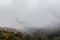 View of St. Francis papal church in Assisi Umbria, Italy in the middle of lifting morning fog