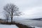 View of the St. Lawrence River and Quebec Cityâ€™s coastline seen from the old LÃ©vis during an grey November morning