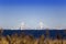 View of St. Petersburg through the Gulf of Finland. Cable-stayed bridge  in the center