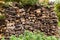 View of a stack of birch wood for fireplace. Background photo