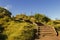 View of stairs at Muriwai beach, near Auckland, New Zealand