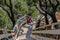 View of a stairs on wooden suspended pedestrian walkway on mountains, overlooking the Paiva river