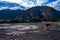 View of standing Anatolian shepherd with the background of a rocky mountain