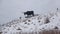 View of the statue of a giant bull Tarvas - a symbol of the city Rakvere, cloudy March day. Estonia