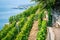 View of steep Lavaux terraced vineyards over Geneva lake in Dezaley Lavaux Switzerland