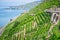 View of steep Lavaux terraced vineyards over Geneva lake in Dezaley Lavaux Switzerland