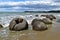A view of the stone formations of Moeraki Boulders on the South Island of New Zealand