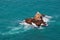 View of the stone islet near the Atlantic Ocean coast in Morocco in sunny day