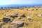 View of stone landscape