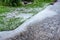 View at stone path and green garden with hail stones during hailstorm from sky with sunlight