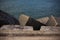 View of stoned cubes with sunlights on the seaside.