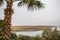 View of the stony shore of the Dead Sea with palm and flowers