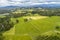 View of straight rows of crops and rolling landscape.