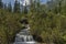 View of stream, grass, wild flower and waterfall in Rila mountain toward Maliovitza peak