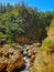 A view of a stream at Karangahake gorge in the afternoon, New Zealand