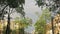 View of a street with doves, and flashlights in summer evening. Pan vertical.