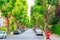 View of street lined with trees in London