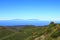 View from the summit of Garajonay on charred shrubs and trees, traces of the forest fire of 2012, on the horizon the island of La