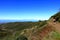 View from the summit of Garajonay on charred shrubs and trees, traces of the forest fire of 2012, on the horizon the island of La