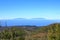 View from the summit of Garajonay on charred shrubs and trees, traces of the forest fire of 2012, on the horizon the island of La