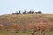 View of the summit of the Poike volcano along the east coast of Easter Island. Easter Island, Chile