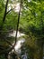 A view on a sun lit shaded water stream in the woods with a human figure in the background