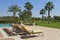 View of sun loungers at poolside with lawn in background