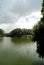 View of the Sundarban Mangrove forest