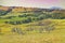 View of sunny fields on the hills in Tuscany, Italy